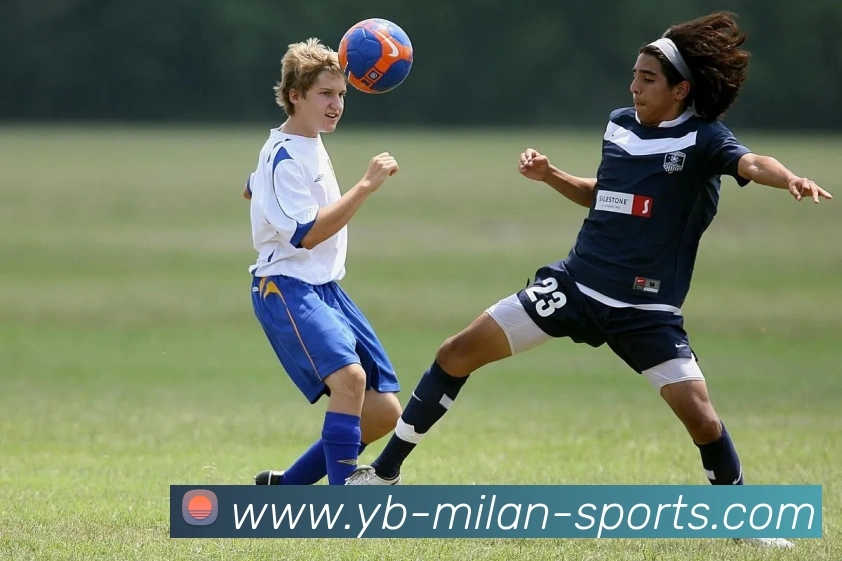 多媒体互动体验